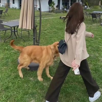 敲